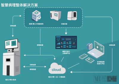 錕元方青 以病理專家視角引領創新，做智慧病理產業實踐的排頭兵